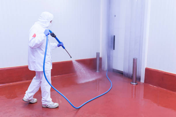 Best Driveway Pressure Washing  in Sweeny, TX