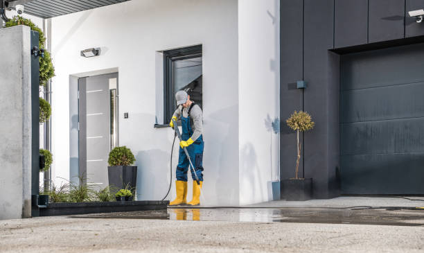 Best Solar Panel Cleaning  in Sweeny, TX